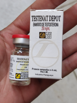 ENANTATO DE TESTO 4ML/250MG - LANDERLAN